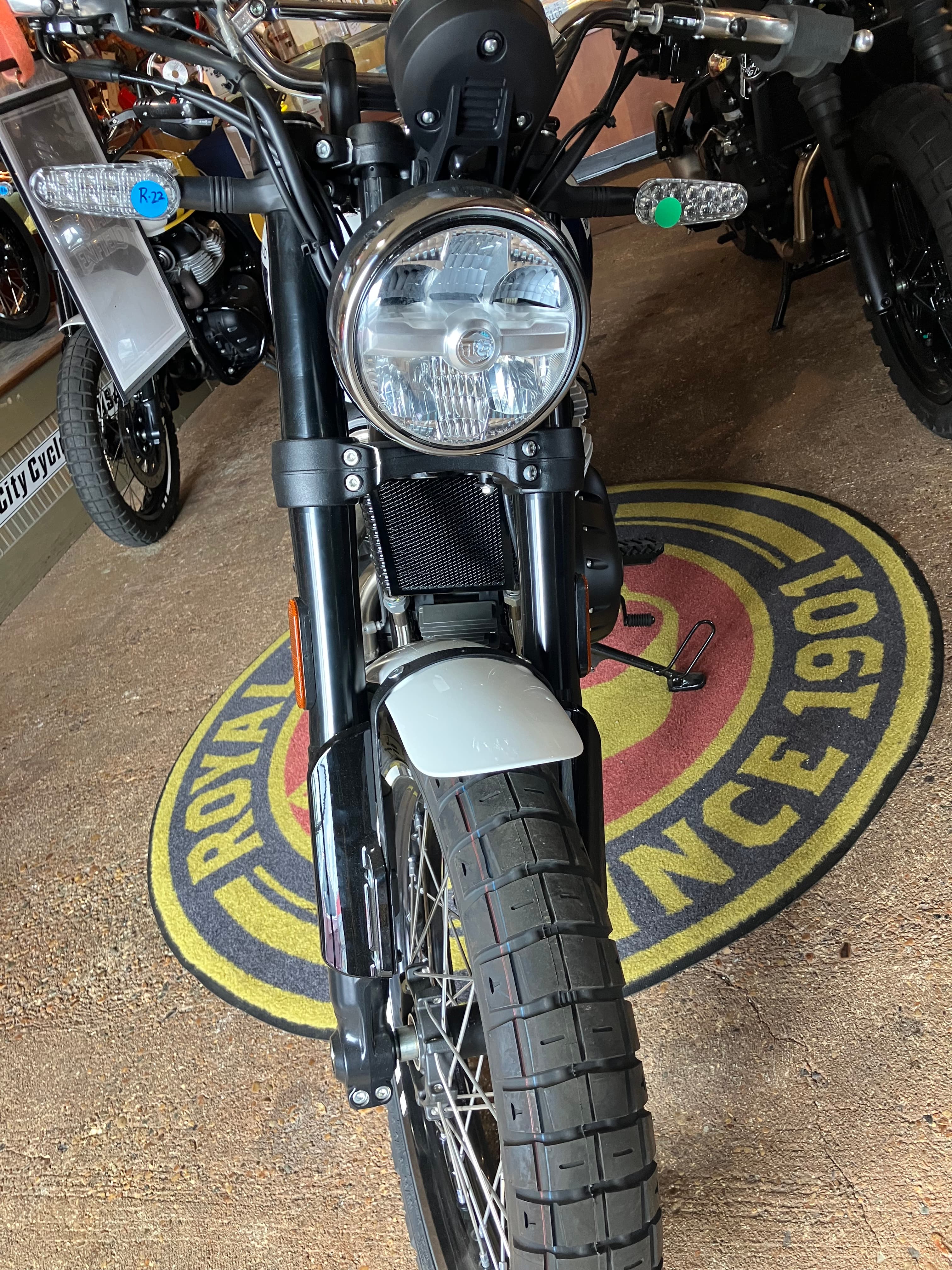 2025 Royal Enfield Bear 650